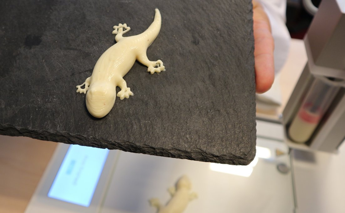 Eten in vorm van hagedis door 3D voedselprinter